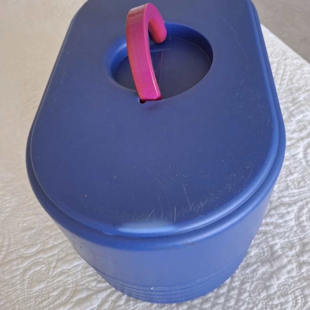 Women Bags Blue Carry Case with Pink Handle
